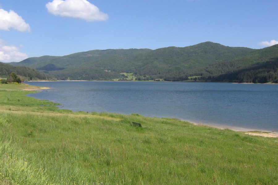 Tour Riserva Naturale i “Giganti della Sila” – Lorica – Lago Arvo