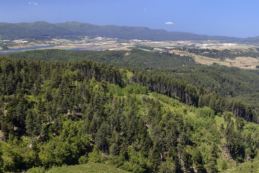 San Giovanni in Fiore – Camigliatello: natura e fede nel cuore della Sila