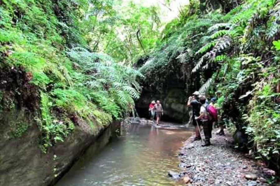 La Valle dei Mulini – Trekking nell’entroterra vibonese tra natura ed enogastronomia